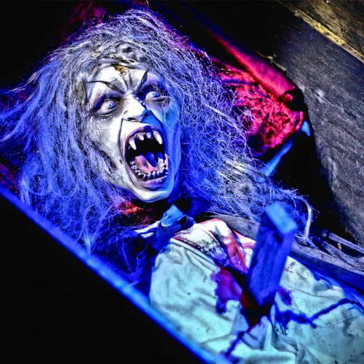 Scream In The Dark Haunted Maze